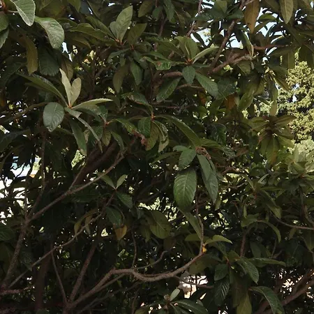 And By The Sea - 6839 Гостьовий будинок Макарська