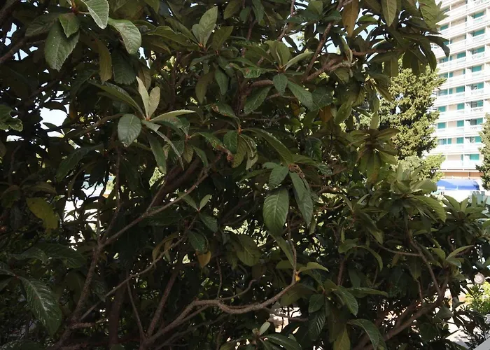 And By The Sea - 6839 Pensionat Makarska